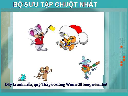 Bộ sưu tập Chuột nhắt