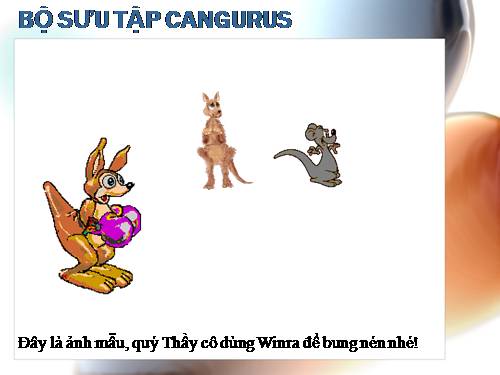 Bộ sưu tập Cangurus