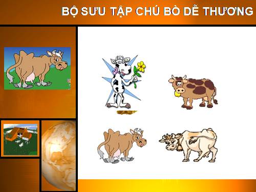 Bộ sưu tập Bò