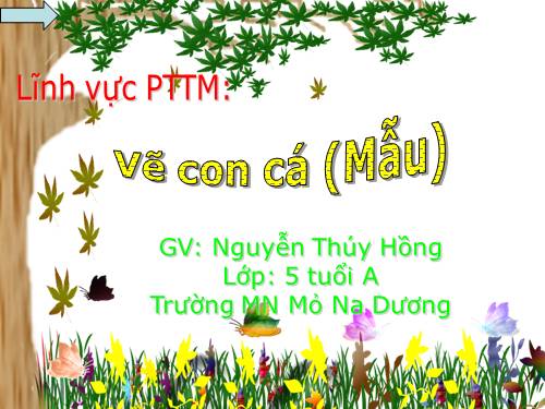 ve con cá (mẫu)