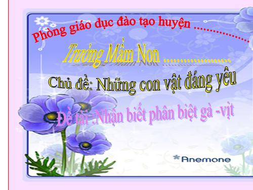 PHAN BIET GA VIT