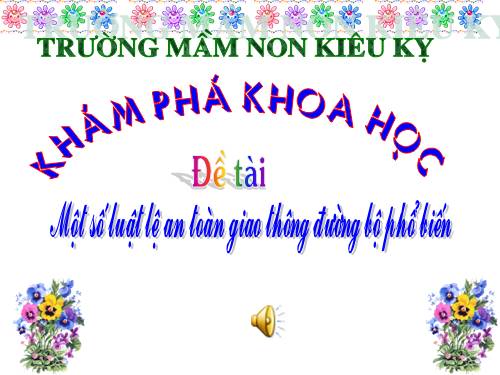 Luật giao thông