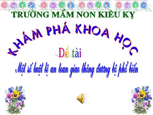 luat giao thông