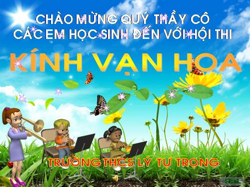 Kính vạn hoa 2010