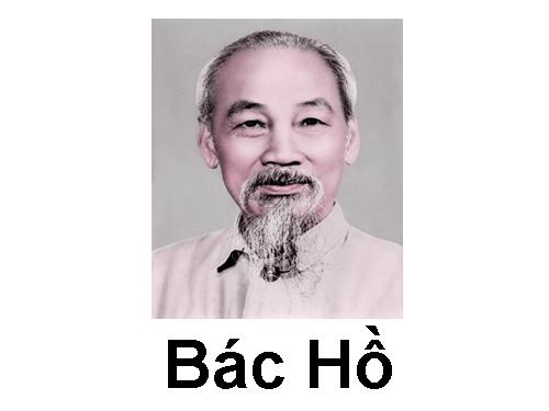 Bác hồ của em