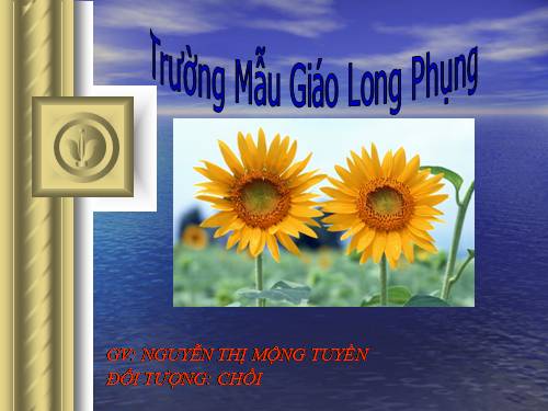 động vật sống trong rừng