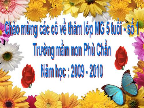 một số côn trùng