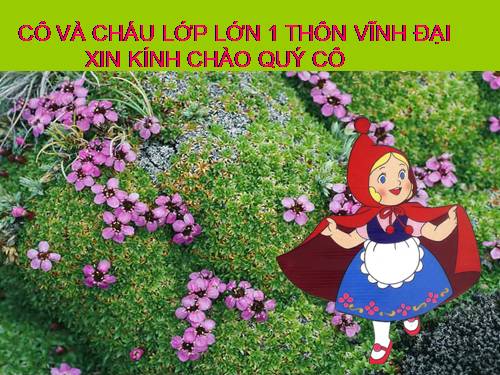 LQCV : Làm que chữ b-d-đ