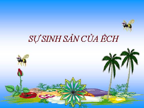 Su sinh san cua ech