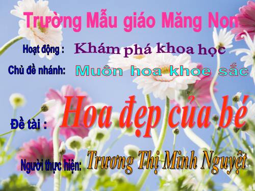 KPKH: Hoa đẹp của bé