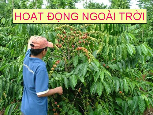 HOAT DONG NGOAI TROI