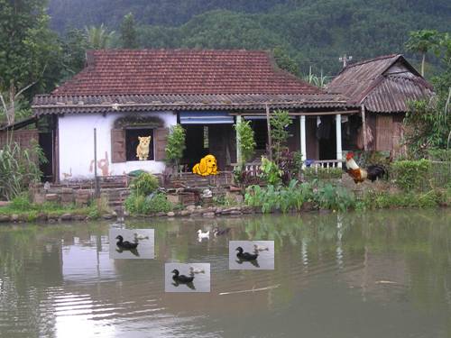 Giao an AN- Nhìn mặt nhau đi