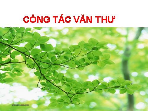 van thu luu tru nha truong