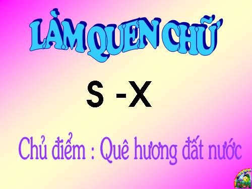 Chữ cái S, X