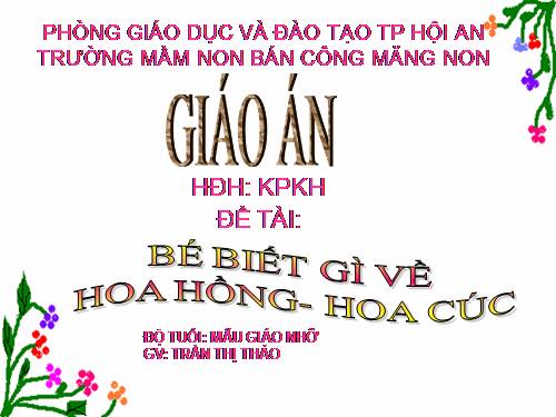 KHKH:HOA HÔNG HOA CÚC. ( NHỠ)