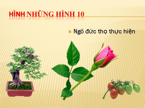 hinh anh thiet ke