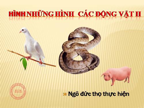 Hình những dong vat 2