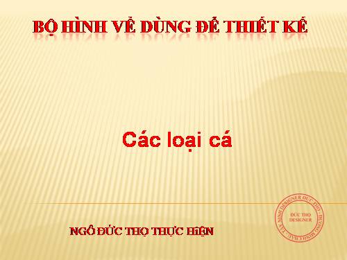 HINH CAC LOAI CA