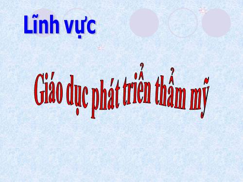 PT THẨM MỸ