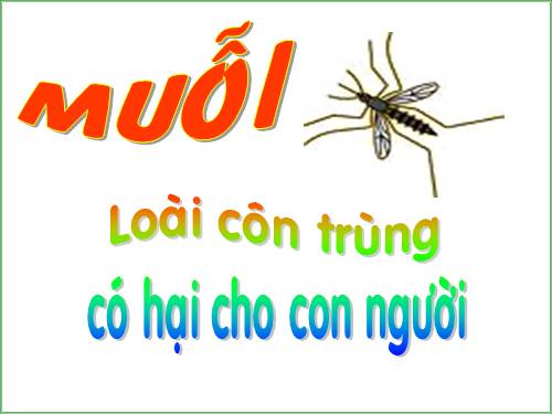 Con muỗi