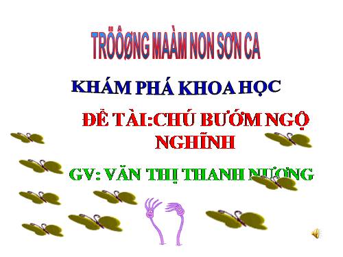 Khám phá khoa học -Chú bướm ngộ nghĩnh