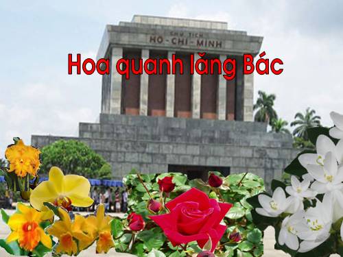 tho: Hoa quanh lăng Bác