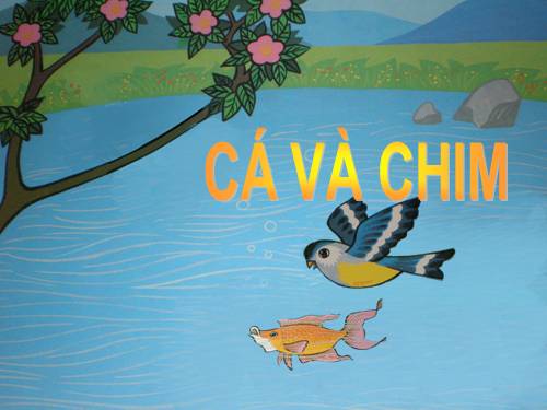 cau chuyen nha tre ca va chim(nha tre)