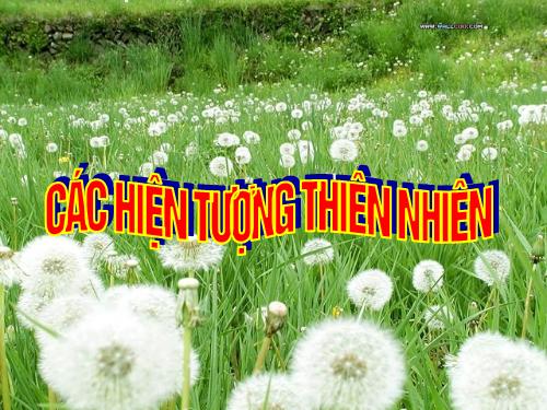 Cac Hien tuong tu nhien