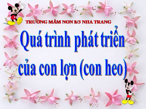 SU PHAT TRIEN CUA CON LON