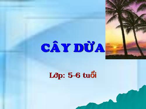 Cây Dừa