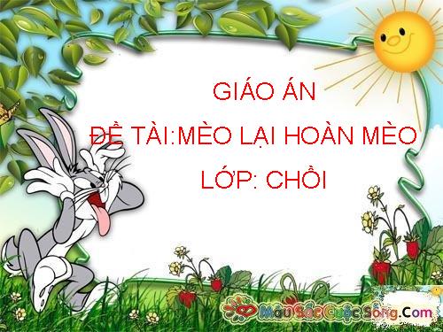 VAN HOC MEO LAI HOAN MEO