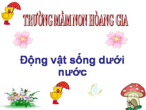 ĐỘNG VẬT