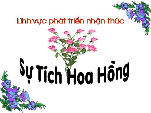 Linh vực phat trien ngôn ngữ