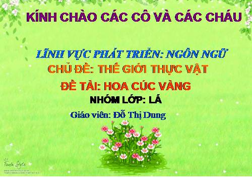 phát triển ngôn ngữ