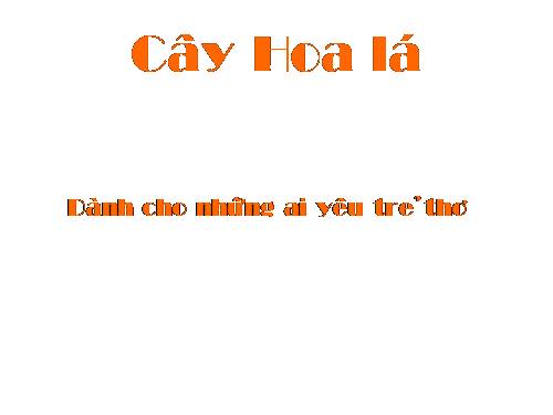 Cây hoa lá