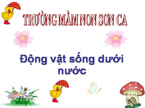 Động vật dưới nước