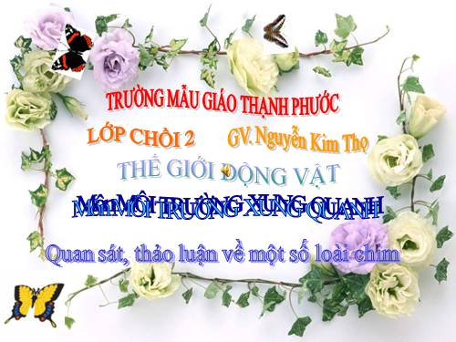 MÔI TRƯỜNG XUNG QUANH