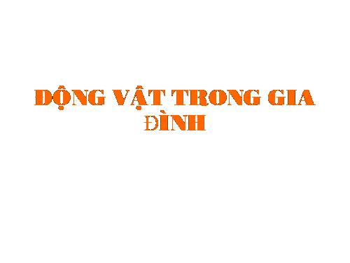 Hình động vật trong gia đình