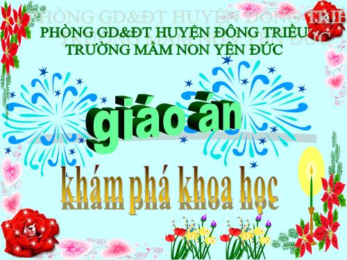 G.án KPKH- Một số loại hoa  Chủ đề TGTV lớp 5-6 tuổi  ( G.án dự thi GVDG năm học 2009-2010)