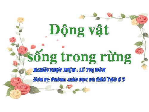 Động vật sống trong rừng, 5 tuổi