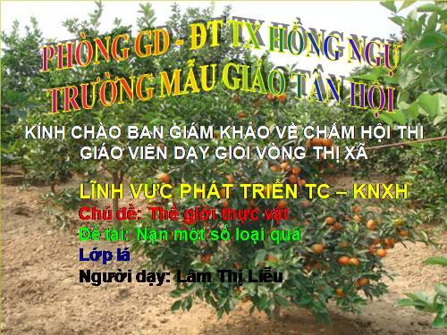 nặn các loại quả