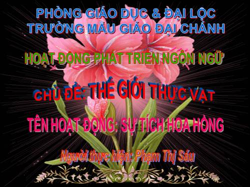 Sự tích hoa hồng