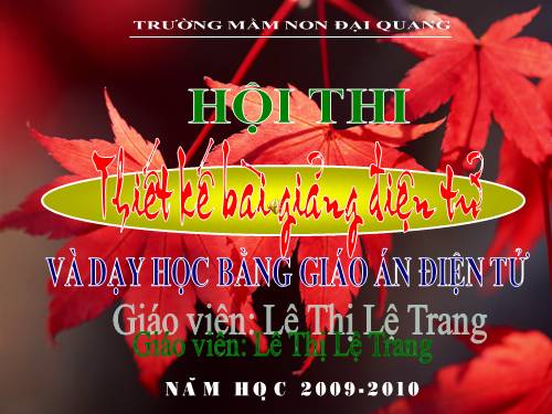 Mùa hạ tuyệt vời