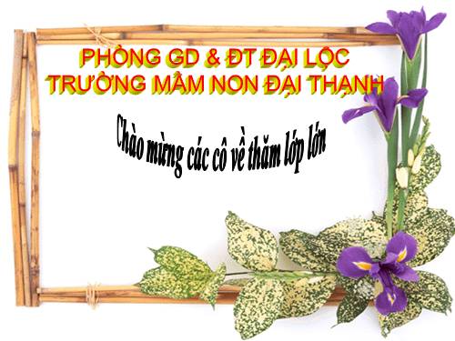 Cây hoa ngày tết