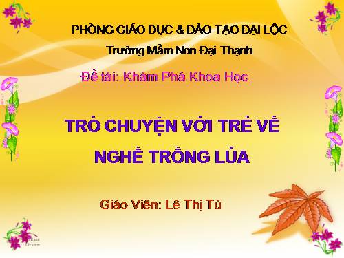 trò chuyện với trẻ về nghành trồng lúa