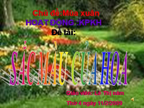 KPKH- Một số loại hoa