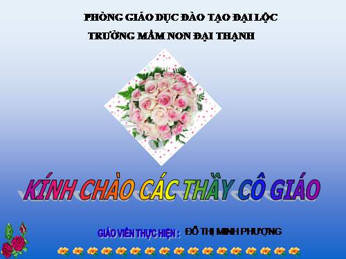 be biet gi ve bien bao giao thong