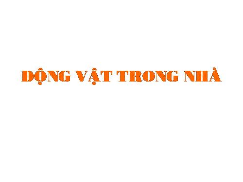 ĐỘNG VẬT TRONG NHÀ (cuc hay)