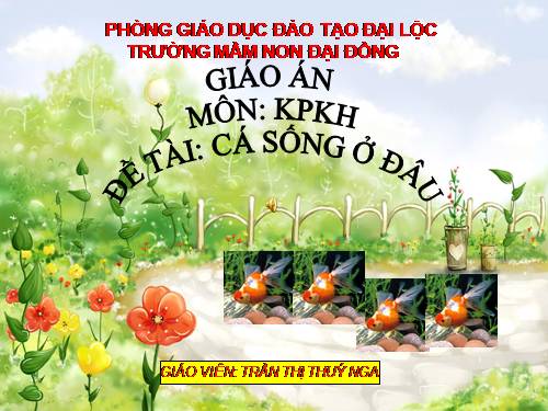 Cá sống ở đâu