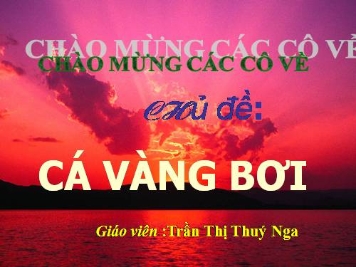 Cá vàng bơi